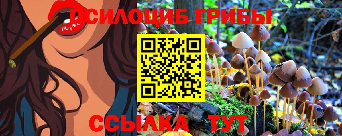 Галлюциногенные грибы Magic Shrooms  Вход с VPN  Грязи 